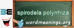 WordMeaning blackboard for spirodela polyrrhiza